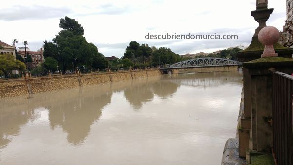 lluvias Murcia diciembre 2016 El río Segura, una amenaza para la Catedral