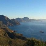 Descubierta una especie de gorgonia americana en Cabo Tiñoso Cabo-Tinoso-Cartagena