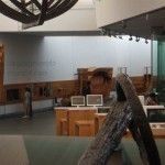 Preparada la IV edición de la Noche de los Museos en Cartagena ARQUA-Cartagena
