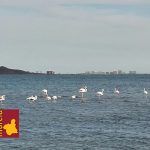 Así se formó el Mar Menor y La Manga… Los Urrutias, Mar Menor.