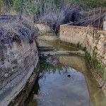 Novios, bodas y raptos en la Murcia más huertana acequia-huerta-Murcia