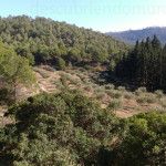 Espubike la ruta BTT que transcurre por Sierra Espuña Sierra Espuña