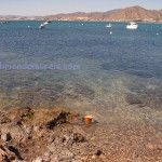En marcha la Reserva Marina de Cabo Tiñoso en Cartagena La Azohia Bahia de Mazarron