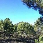 Algo más sobre la ascensión al Pico del Buitre en Moratalla Pico-del-Buitre-Moratalla