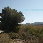 Murcia tiene el turismo rural más económico de España Turismo Rural Murcia