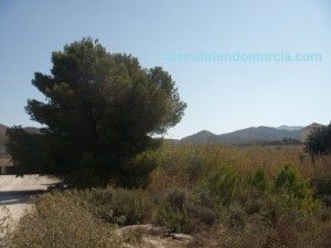Turismo Rural Murcia 300x225 Murcia tiene el turismo rural más económico de España