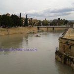 La sardina desaparece del río Segura aumento caudal Segura Murcia