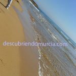 ¿Te gustaría convertirte en Voluntario Ambiental de Murcia? Calblanque