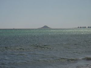 isla grosa la manga Proteger la fauna y la flora de la Isla Grosa y del Farallón en La Manga