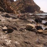 Descubre la historia y la naturaleza de Calnegre Calnegre Murcia