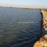 Salinas San Pedro del Pinatar: pesca, naturaleza y sal salinas-san-pedro