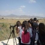 Alumnos de Mazarrón descubren a la Malvasía Cabeciblanca Malvasia Cabeciblanca Mazarron