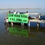 Pescadores furtivos en La Encañizada del Mar Menor Pesca-San-Pedro-del-Pinatar