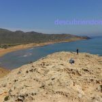 Los ciervos de la Cueva de los Mejillones en Calblanque Calblanque