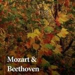 Mozart y Beethoven en Teatro Romea con la Sinfónica UCAM Orquesta Sinfonica UCAM