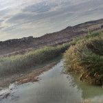 La Contraparada y los Reyes Católicos, Enrique II, Sancho IV… Contraparada-rio-Segura-Murcia