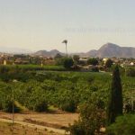 Habla Catalana en la Región de Murcia ¿Hablamos Catalán? Parte II Vega Baja del Segura. Entre Orihuela y Murcia